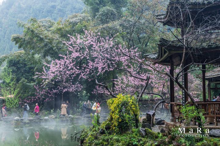 安顺加强“生鲜灯”排查整治